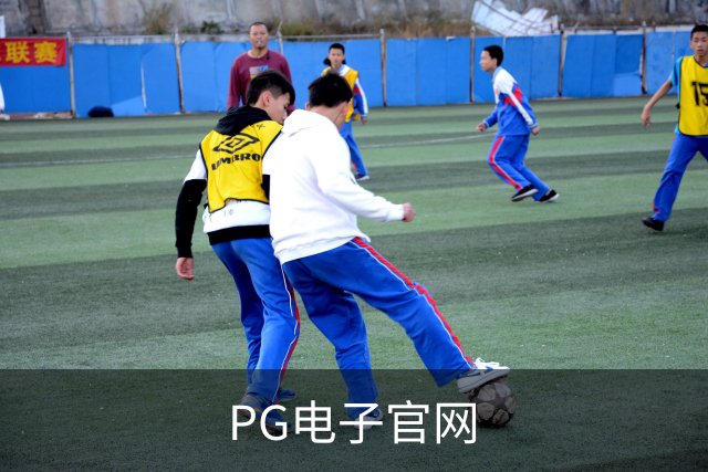 PG电子官网公司简介图片